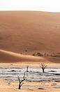 Deadvlei || Namibië, Sossusvlei van Suzanne Spijkers thumbnail