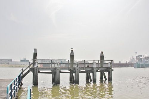 Haven 005