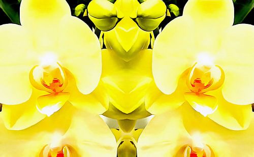 Motif d'orchidée jaune