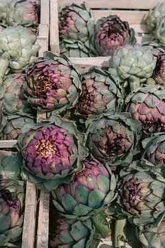 Artichokes at market Brittany | Photo print France | Colourful travel photography by HelloHappylife