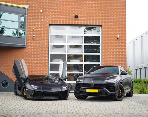 Blacked Out Lamborghini Aventador & Urus