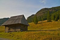 Shepherd's shelter