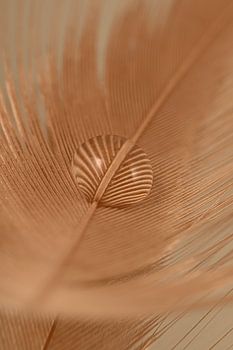 Abstraction : Plume orange avec goutte d'eau
