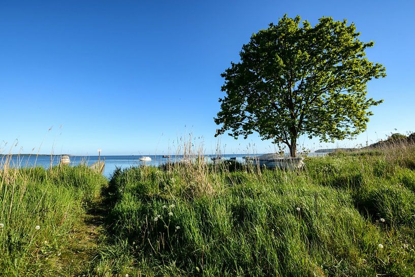 Fischerhafen Groß Stresow, Nähe Putbus auf Rügen von GH Foto & Artdesign