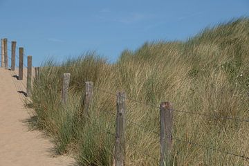 Strandopgang langs duinen in Katwijk sur Rianne Ouwerkerk