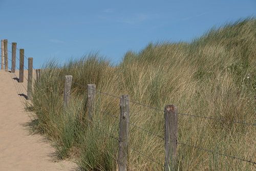 Strandopgang langs duinen in Katwijk