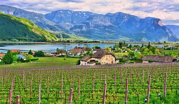 Lake Caldaro by Gisela Scheffbuch