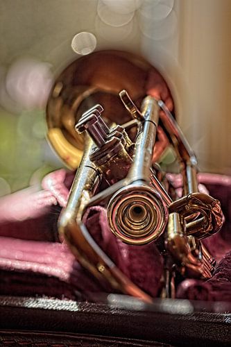 Trumpet by Rob Boon