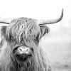Mystieke Blik Portret van een Schotse Hooglander in Zwart-wit van Femke Ketelaar