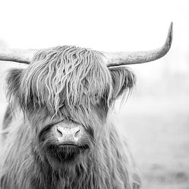 Regard mystique - Portrait d'un Highlander écossais en noir et blanc sur Femke Ketelaar