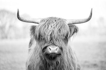 Regard mystique - Portrait d'un Highlander écossais en noir et blanc sur Femke Ketelaar