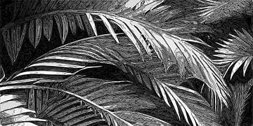 Feuilles de palmier en argent, blanc et noir sur Anna Marie de Klerk