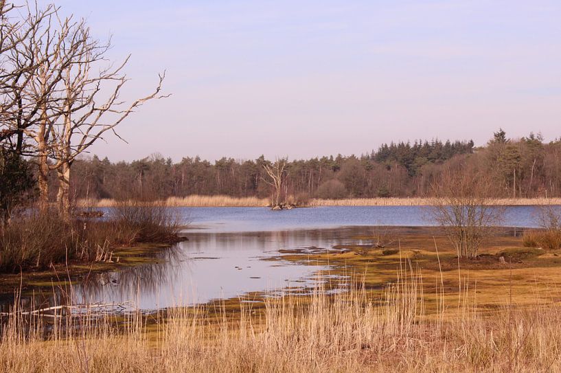 Meer in het Mastbos in Breda von Deborah S