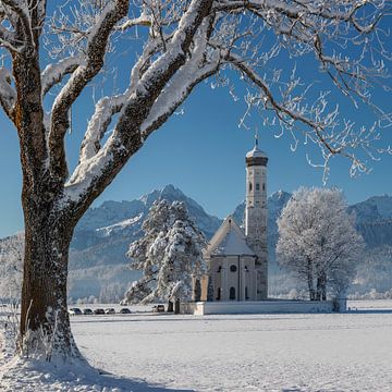 Wallfahrtskirche St.Coloman in Winter von Markus Lange