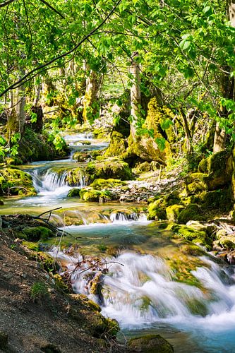 Stream course long time exposure