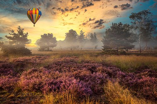 Sonnenaufgang in der Strabrechtse Heide