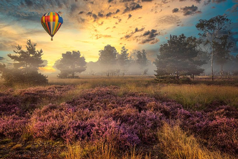 Sunrise on the Strabrechtse Heide by Rob Boon