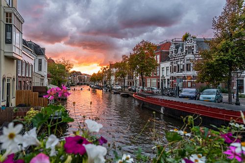 Leiden - Kajakken op de Nieuwe Rijn (0076)