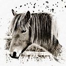 Of Memories Past by Dorothy Berry-Lound thumbnail