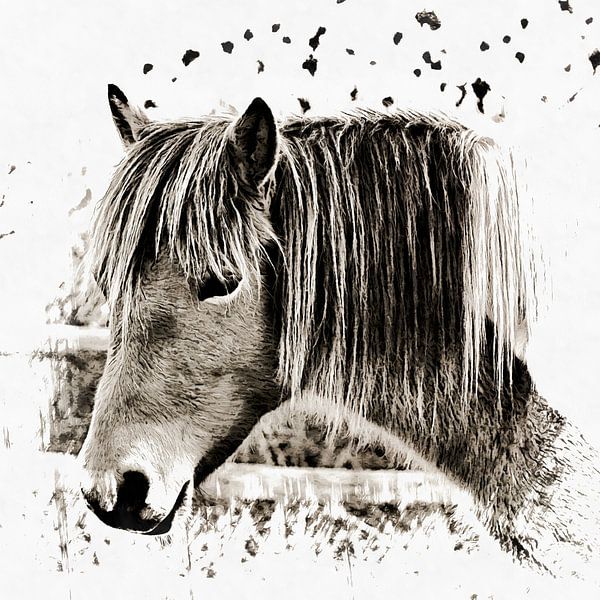 Of Memories Past by Dorothy Berry-Lound