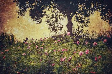 Fleurs sous l'arbre sur Rob van der Pijll