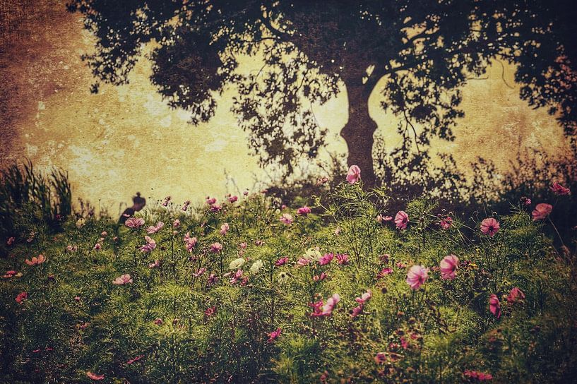 Bloemenpracht onder boom van Rob van der Pijll