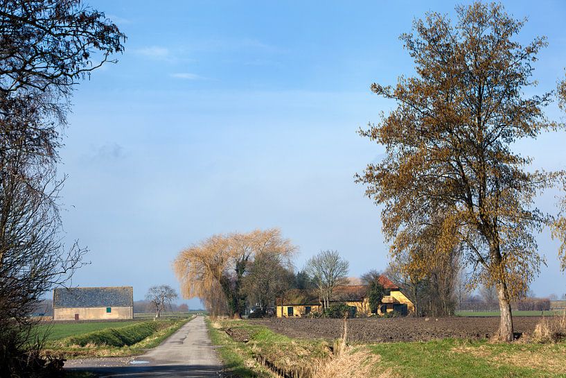 Dutch polder landscape with farms in the Hoeksche Waard by Peter de Kievith Fotografie