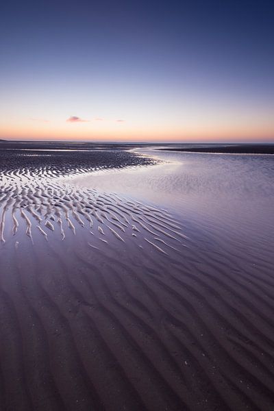 Maasvlakte 16 by Deshamer
