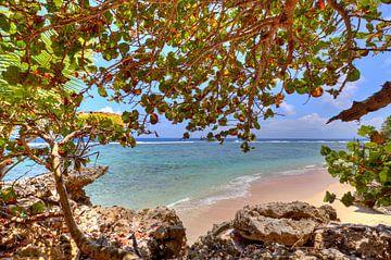 Bij Playa Fronton op het schiereiland Samaná van Roith Fotografie