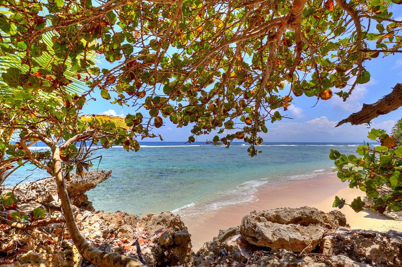 Bij Playa Fronton op het schiereiland Samaná van Roith Fotografie