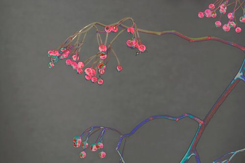 A branch of red berries in creative style