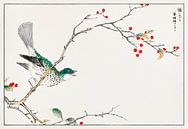 Japanse vogel met hulst tak door Numata Kashu van Studio POPPY thumbnail