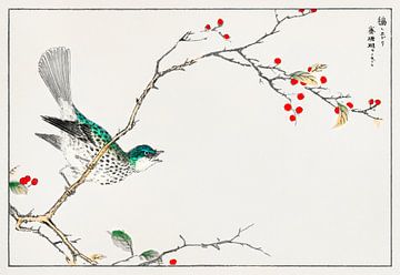 Japanse vogel met hulst tak door Numata Kashu van Studio POPPY