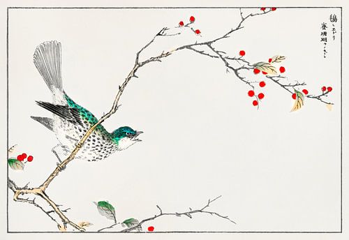Japanse vogel met hulst tak door Numata Kashu