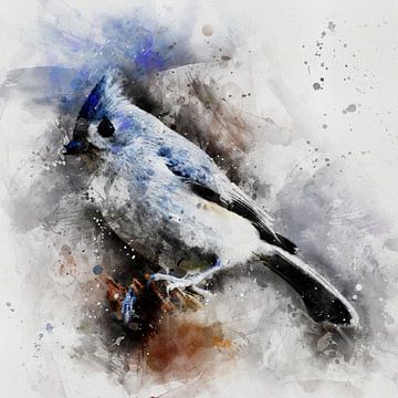 Kuifmeesje | Aquarel van een vogel in blauw, grijs en bruin, oker