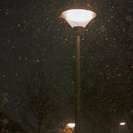Laternenpfähle mit Schneefall von Brigitte Jansen