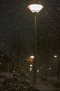 Lantaarnpalen langs trottoir met sneeuwval van Brigitte Jansen thumbnail
