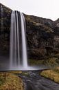 Seljalandsfoss by Joy of Light Photography thumbnail