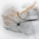 Fragiel blaadje van een hortensiabloem van Jefra Creations thumbnail