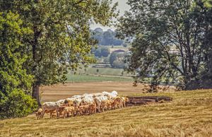 Südlimburg genießen