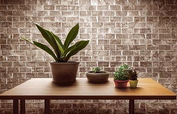 Stilleven kamerplanten in een appartement schilderij Illustratie van Animaflora PicsStock