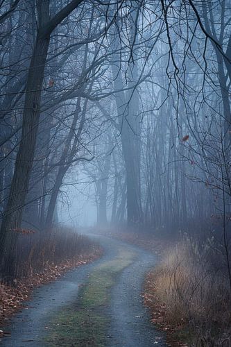 Mystiek boslandschap