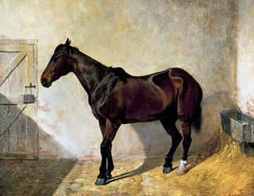Horse (1842) painting by John Frederick Herring van Studio POPPY