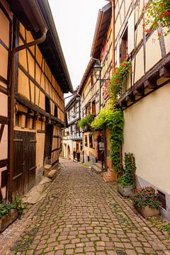 Verticaal straatbeeld van Eguisheim, Elzas, Frankrijk van Adelheid Smitt