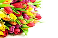 Tulpen Mix Bos Liggend Links by Erwin Plug thumbnail