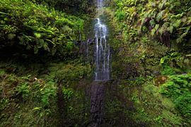 Caldeirao Verde by Thomas Herzog