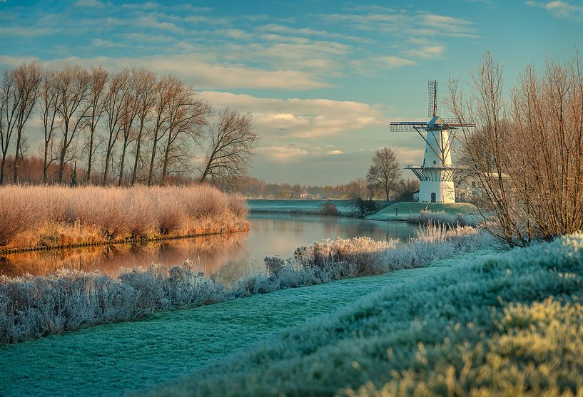 The Butterfly by Arie Heukels Photography