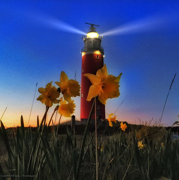 Lighthouse Texel isle at night by Lisette LisetteOpTexel