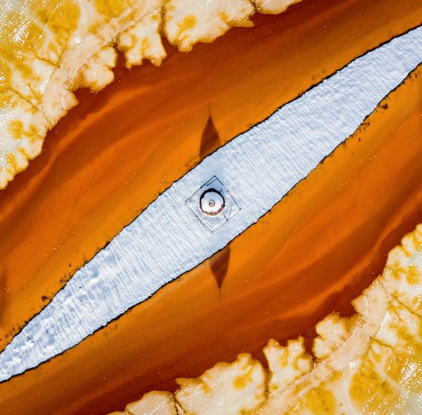 Slangenogen van Ovi D. Pop