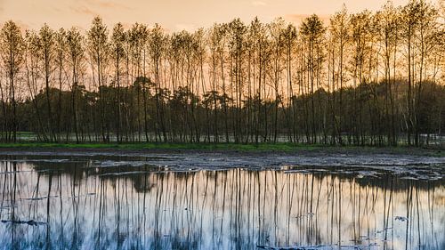 Sonnenuntergang Wisselse Veen